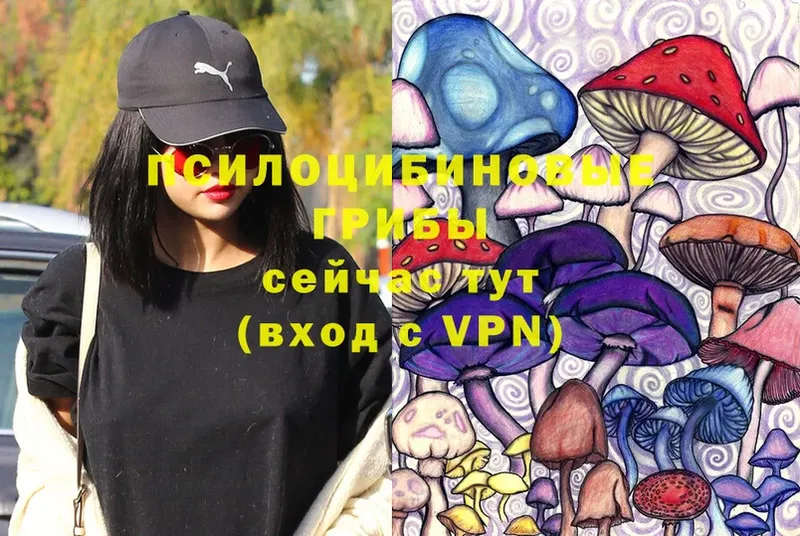 Галлюциногенные грибы MAGIC MUSHROOMS  где найти   darknet состав  Серов 